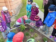 Pečujeme o květinový záhonek